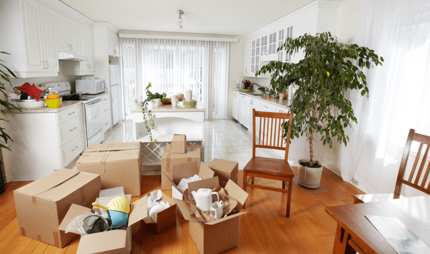 MOVE-IN CLEANING